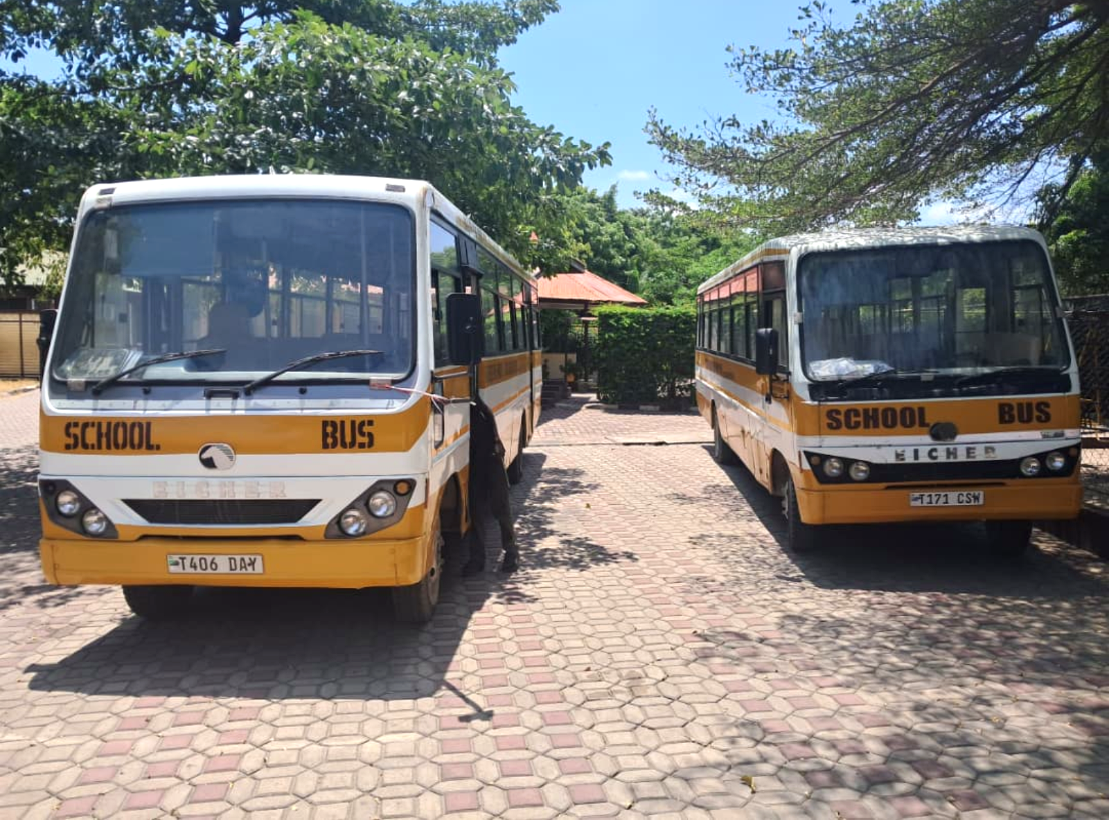 School Bus